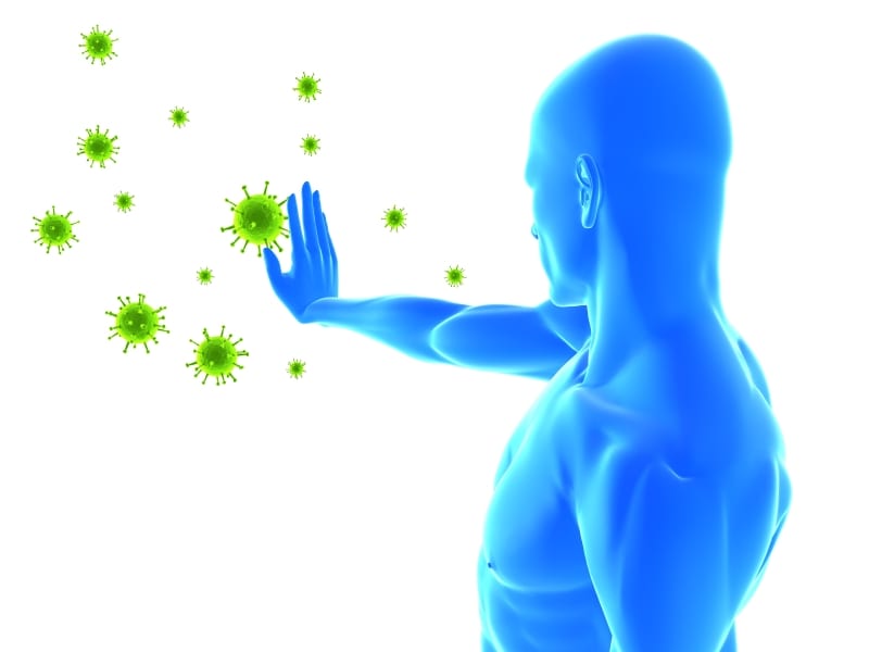 Virus defense with DHEA